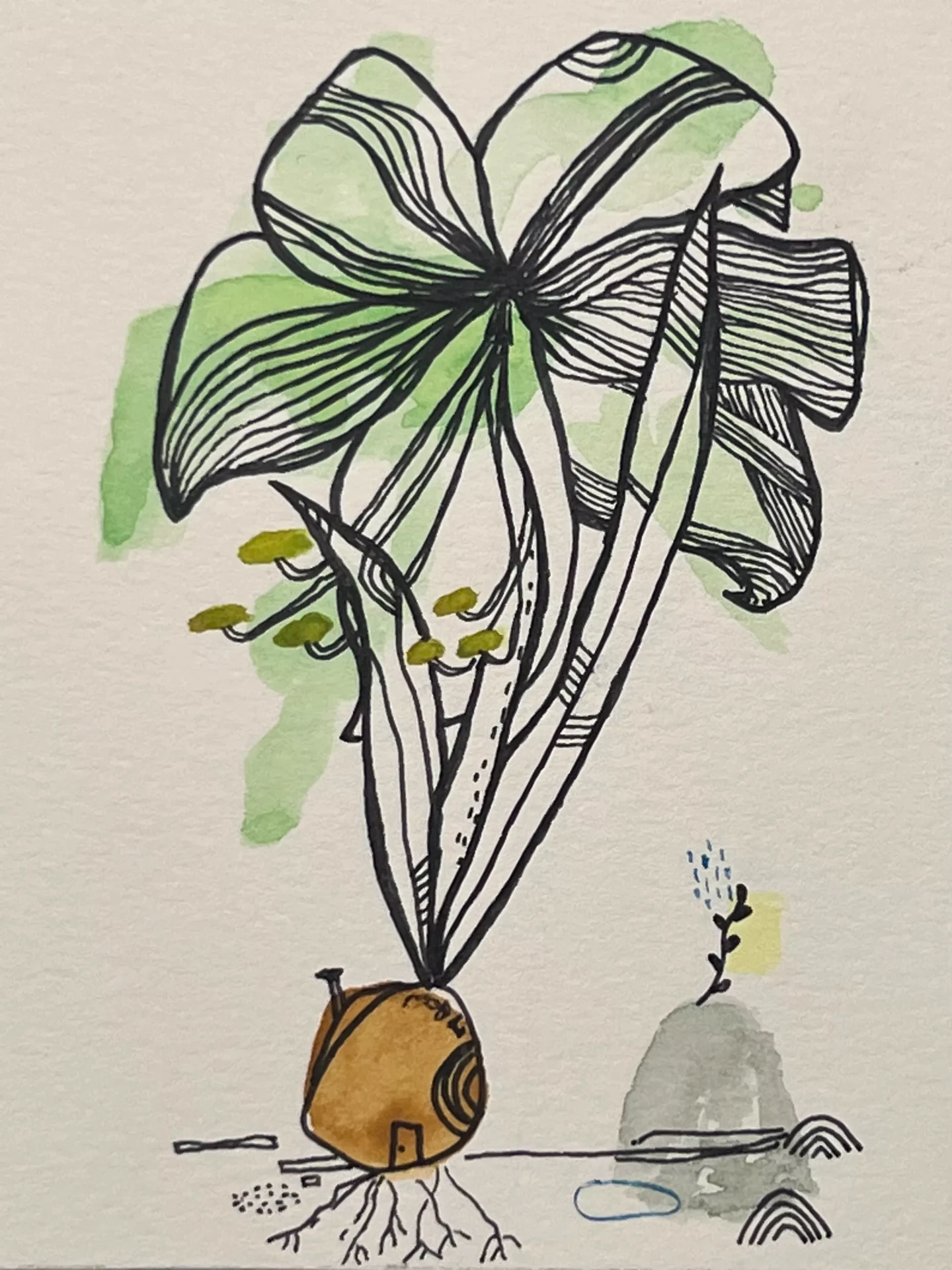 Watercolour and ink painting by Angela Daw